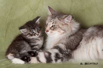 Neele mit Maya